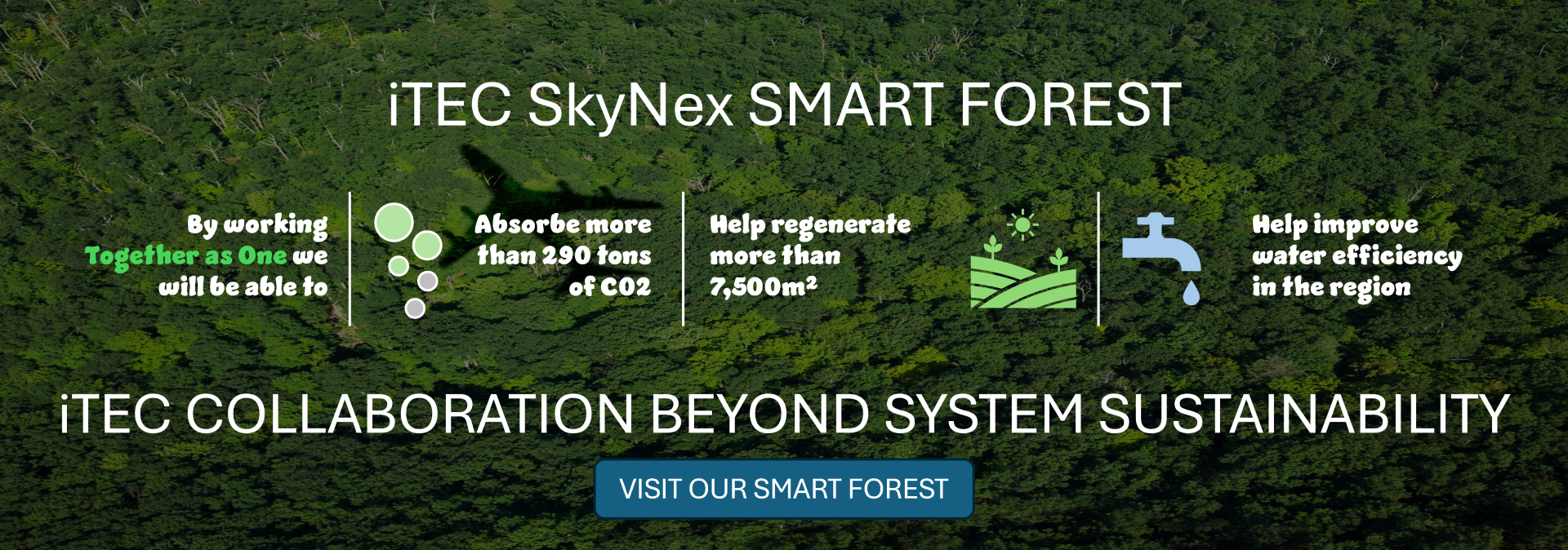 Smart Forest